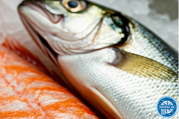КАК ОТЛИЧИТЬ СВЕЖУЮ РЫБУ ОТ ЗАМОРОЖЕННОЙ: 7 ПРОВЕРЕННЫХ СПОСОБОВ