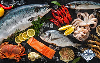 Удивительные факты о морепродуктах